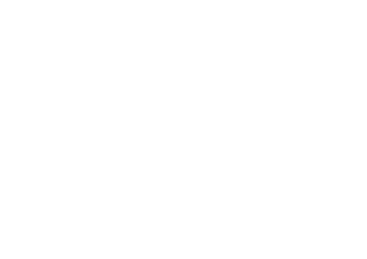 cafe camelinas